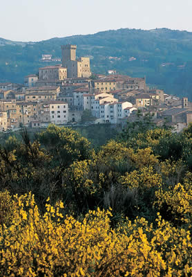 Vista di Arcidosso